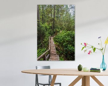 Sentier sinueux dans la forêt pluviale tempérée de l'île de Vancouver sur Eelke Brandsma