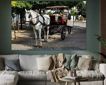 Horse and carriage in Jerez de la Frontera by Hans Verhulst