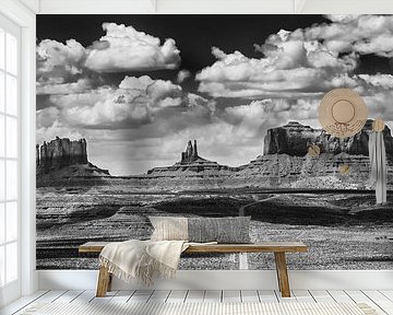 Monument Valley seen from Highway 163 by Henk Meijer Photography