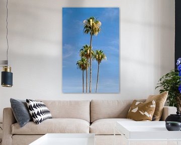 Prachtige palmbomen van Melanie Viola