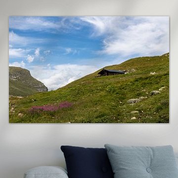 Cabane de montagne suisse
