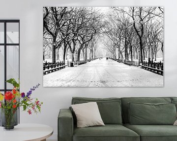 Winter im Central Park, New York City von Sascha Kilmer