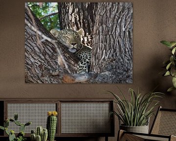 Sleeping Leopard by Marleen Berendse