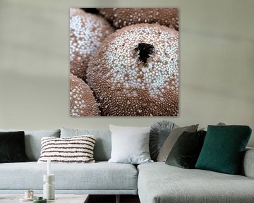 Paysage lunaire d'un champignon sur Veerle Addink