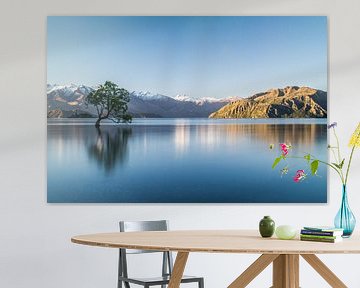 Arbre Wanaka sur Rick Willeme