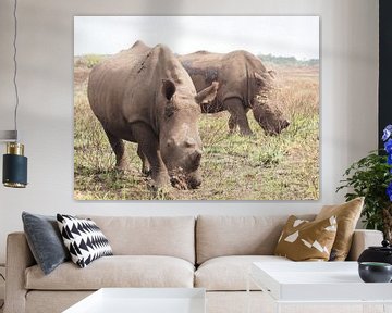 Two rhinos by Marleen Berendse