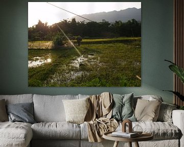 Vietnamese rice field by Marleen Berendse