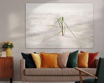 Strandgras in de zeewind van Ralf Lehmann