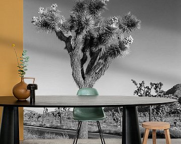 Park Boulevard, Joshua Tree National Park van Melanie Viola