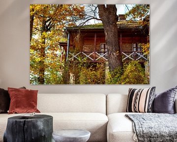 Autumn house by Amber de Jongh