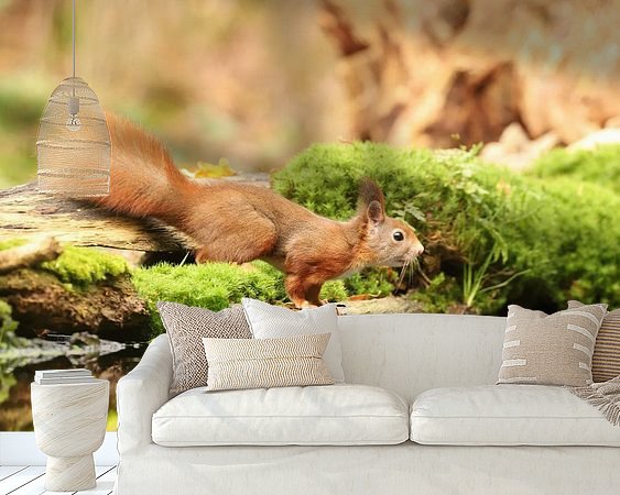 Aperçu de la chambre