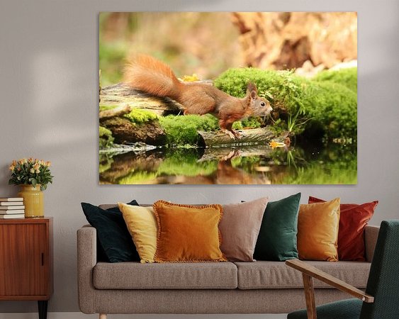 Aperçu de la chambre