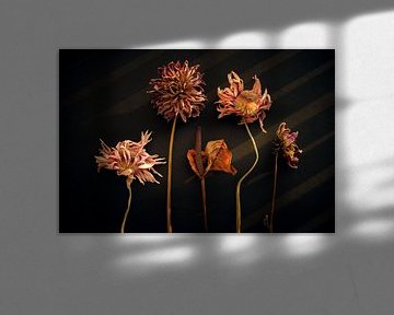 Stilleben von Trockenblumen von Karel Ham