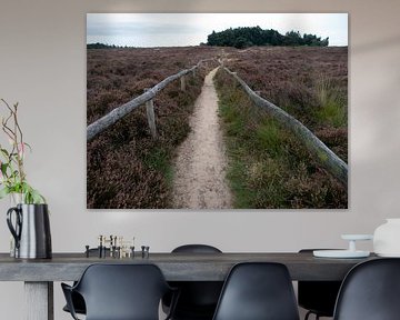 Een wandelpad naar het bos von Dick de Vries