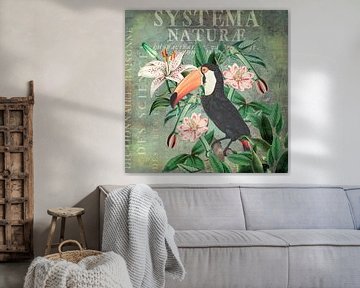 Vintage Tukan und tropische Blumen von Andrea Haase