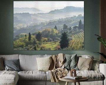 Nevel landschap Toscane