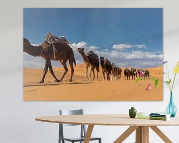 Kamele, die durch die Wüste im westlichen Teil der Sahara in Marokko wandern. von Tjeerd Kruse
