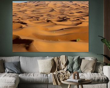 zandduinen bij dageraad in de woestijn van de Sahara in Marokko