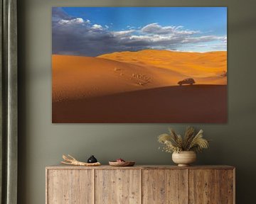 Wide dunes of desert sand with visible footprints of visitors