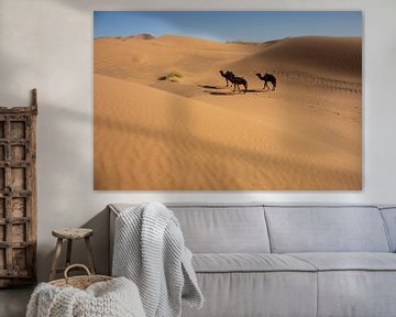 Sahara-Wüsten und die Landschaft der Sanddünen bei Sonnenaufgang, Afrika