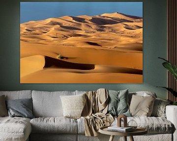 dunes de sable à l'aube dans le désert du Sahara au Maroc