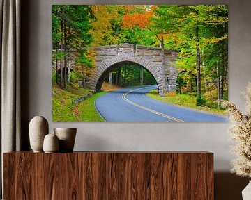 The Stanley Brook Bridge, Acadia N.P., Maine, USA