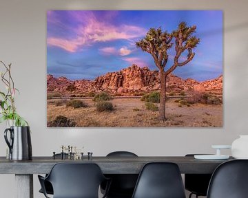 Joshua Tree in the evening by Melanie Viola