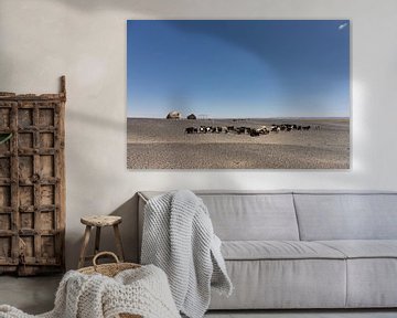 Kudde geiten van bedoeïenenmensen in de Marokkaanse woestijn, de Sahara