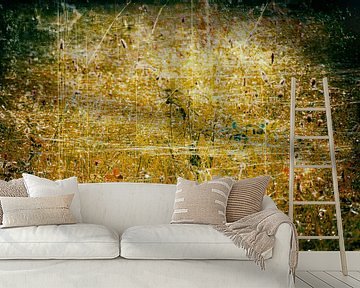 Gouden gloed van Ferry Noothout