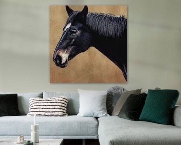 Portret van een zwart paard tegen een bruine achtergrond (kunst) van Art by Jeronimo