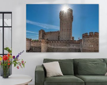 Die Burg von Medina del Campo im Norden Spaniens von Harrie Muis