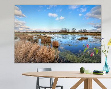 Prairies d'Ahse sur Frank Heldt