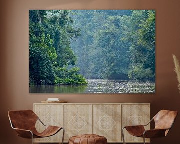 Rivier in regenwoud in Borneo van Martin Jansen