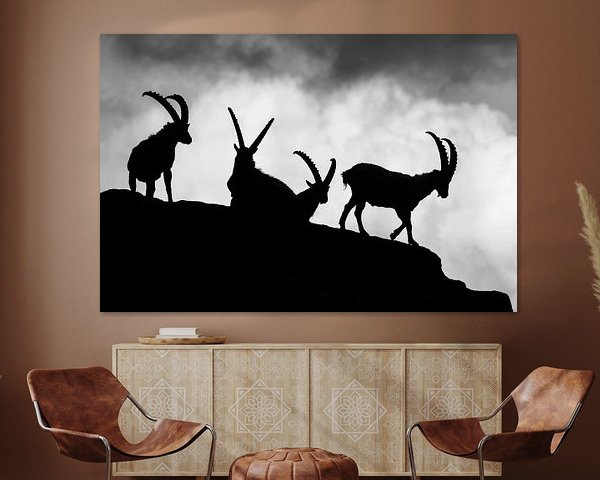 Silhouettes of ibex in black and white