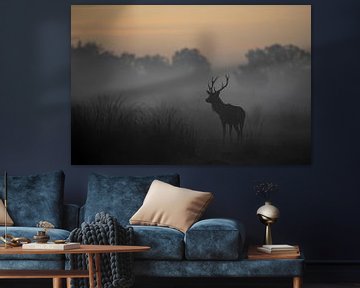 Red deer in a beautiful foggy landscape