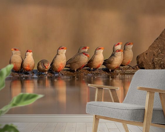 Aperçu de la chambre