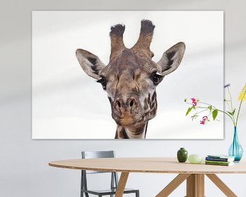 Kop van een giraffe van Bart van Mastrigt