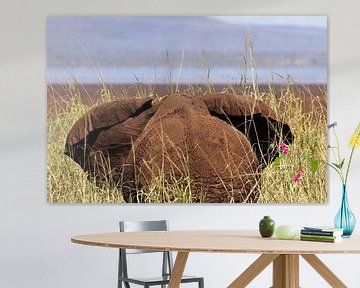 Eléphant dans l'herbe sur Bart van Mastrigt