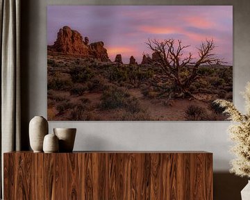 Sunset Canyonlands van Mario Calma