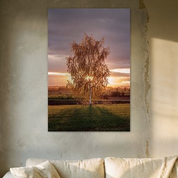 Herbstlicher Sonnenaufgang