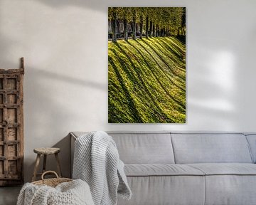 Tree line on the stronghold of the Frisian town of Dokkum in autumn by Harrie Muis