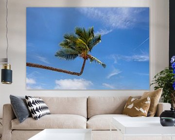 Palme. Blick auf den wunderschönen tropischen Strand mit Palmen. Urlaub und Urlaubskonzept. Tropisch