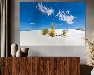 White Sands Impression sur Melanie Viola