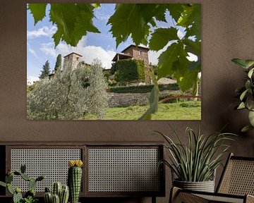 Tuscany Village Through The Grape Leaf