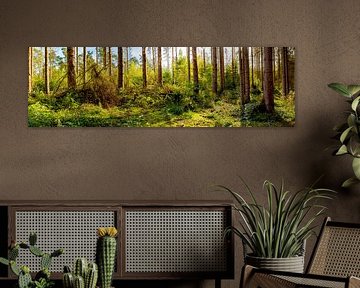 spruce forest by Günter Albers