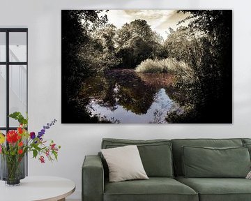 De vijver van natuurpark Bloeyendael van Jan van der Knaap