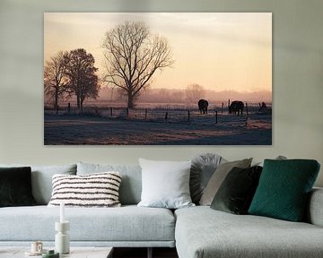 Dutch landscape at dawn by Affect Fotografie