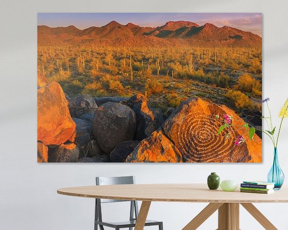 Aperçu de la chambre