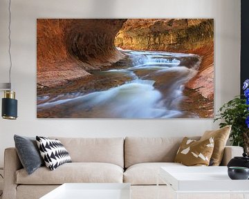 The Subway in Zion Nationaal Park, Utah, USA van Henk Meijer Photography