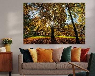 Kastanjeboom vol in herfstkleuren van Arthur Puls Photography